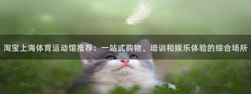 斗体育：淘宝上海体育运动馆推荐：一站式购物、培训和娱乐体验的综合场所
