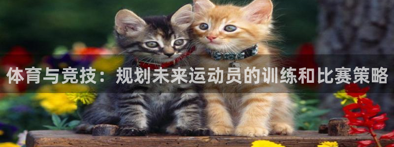 斗体育西甲授权：体育与竞技：规划未来运动员的训练和比赛策略