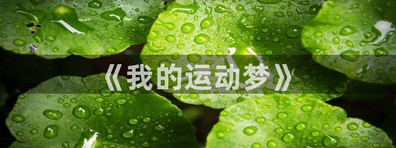 斗体育老默直播间：《我的运动梦》